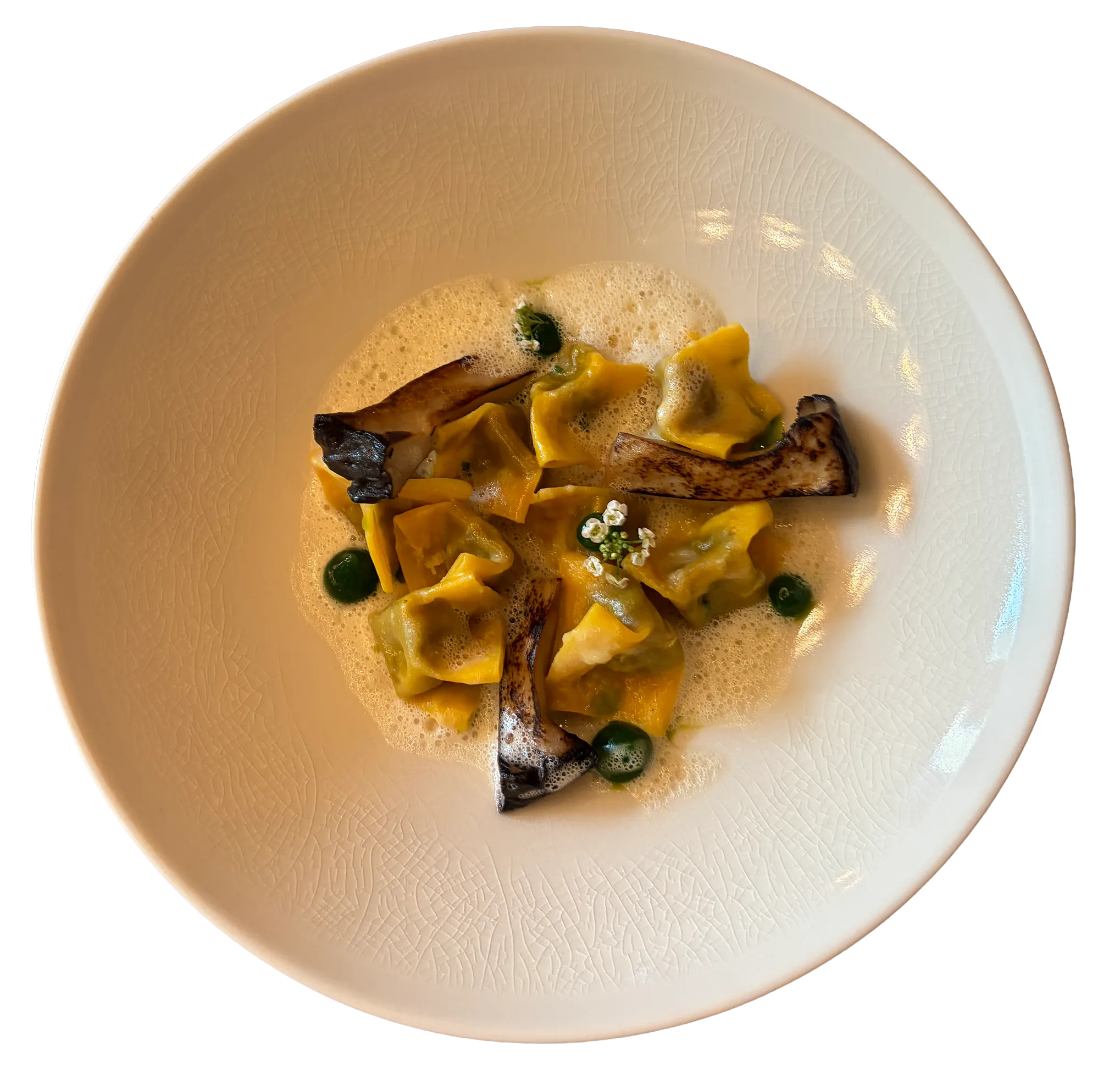 Kräuterseitling-Ravioli